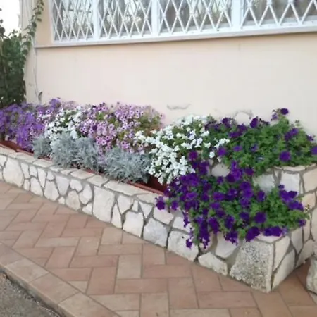 Holiday home Il Glicine Di Carmen Fondi