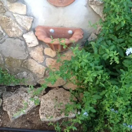 Il Glicine Di Carmen *
