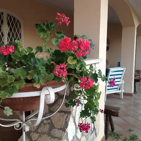 Il Glicine Di Carmen *